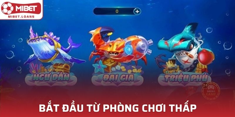 Bắt đầu từ phòng chơi thấp