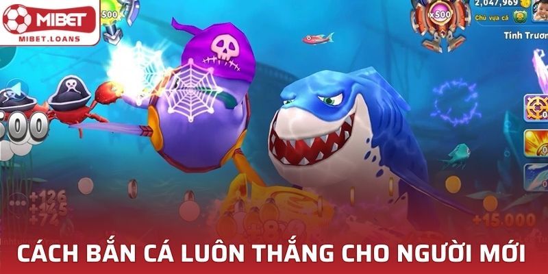 Cách bắn cá luôn thắng hiệu quả cho người mới tại MIBET