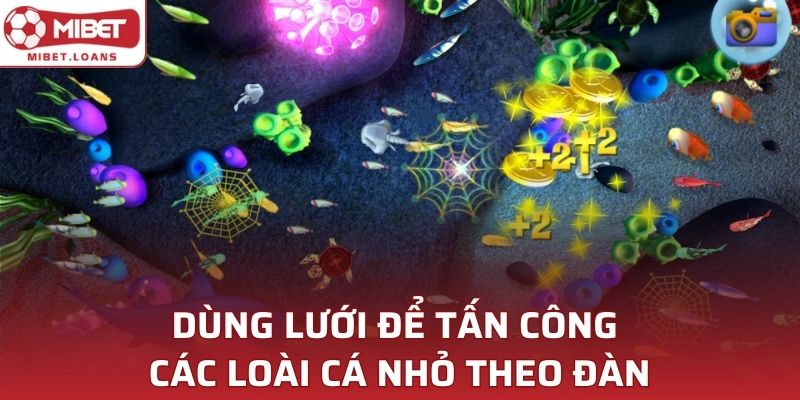 Dùng lưới để tấn công các loài cá nhỏ theo đàn