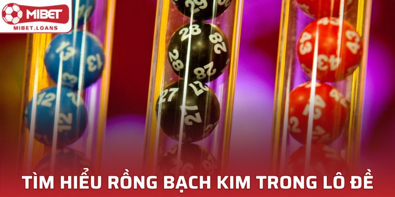 Giới thiệu thông tin cơ bản về rồng bạch kim