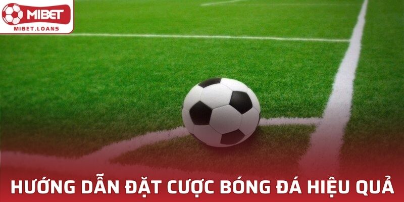 Hướng dẫn đặt cược bóng đá hiệu quả, cơ hội thắng siêu cao