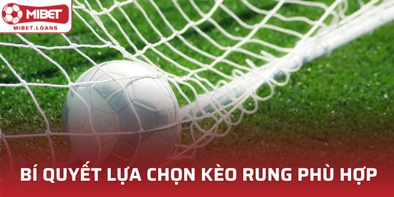 Bí quyết lựa chọn kèo rung phù hợp