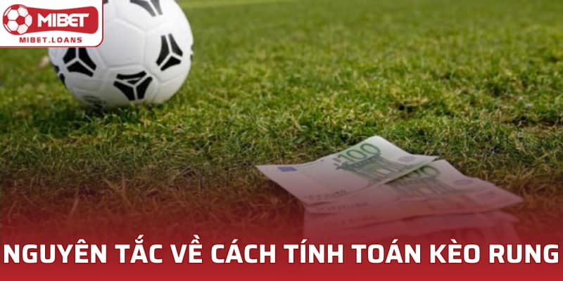 Nguyên tắc về cách tính toán kèo rung